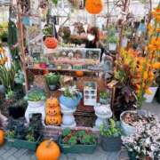 ヒメ日記 2025/01/07 23:02 投稿 ちる シャブール