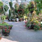 ヒメ日記 2025/01/12 22:03 投稿 ちる シャブール