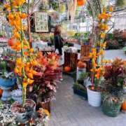 ヒメ日記 2025/01/22 23:02 投稿 ちる シャブール