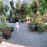 ヒメ日記 2025/02/06 01:00 投稿 ちる シャブール