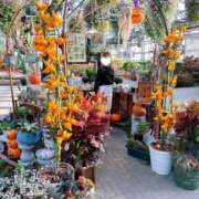 ヒメ日記 2025/03/11 03:00 投稿 ちる シャブール