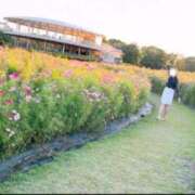 ヒメ日記 2025/03/27 00:01 投稿 ちる シャブール