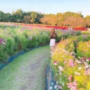 ヒメ日記 2025/11/28 22:01 投稿 ちる シャブール