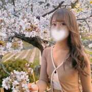 ヒメ日記 2026/03/24 19:05 投稿 ちる シャブール