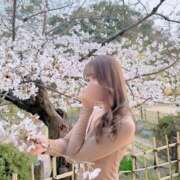 ヒメ日記 2026/03/27 21:03 投稿 ちる シャブール