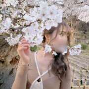 ヒメ日記 2026/03/28 02:00 投稿 ちる シャブール