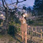 ヒメ日記 2026/03/28 19:03 投稿 ちる シャブール