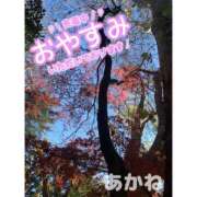 ヒメ日記 2023/12/29 14:28 投稿 あかね ファーストラブ