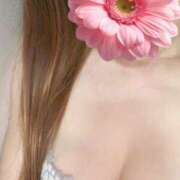 ヒメ日記 2025/06/27 19:43 投稿 れい 超密着癒し性感メンズエステ(米沢)