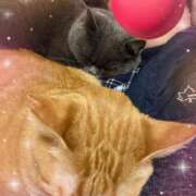 ヒメ日記 2025/09/09 12:05 投稿 じゅん 熟女家 豊中蛍池店