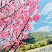 ヒメ日記 2025/03/11 22:26 投稿 菊池 恵 30代40代50代と遊ぶなら博多人妻専科24時