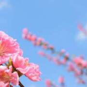 ヒメ日記 2025/03/17 10:35 投稿 菊池 恵 30代40代50代と遊ぶなら博多人妻専科24時