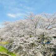 ヒメ日記 2025/03/31 17:15 投稿 菊池 恵 30代40代50代と遊ぶなら博多人妻専科24時