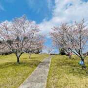 ヒメ日記 2025/04/07 00:07 投稿 菊池 恵 30代40代50代と遊ぶなら博多人妻専科24時