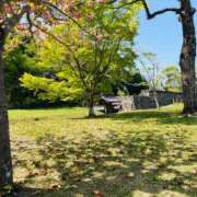 ヒメ日記 2025/04/23 09:46 投稿 菊池 恵 30代40代50代と遊ぶなら博多人妻専科24時