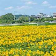 ヒメ日記 2025/07/02 11:47 投稿 菊池 恵 30代40代50代と遊ぶなら博多人妻専科24時