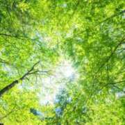 ヒメ日記 2025/07/05 12:04 投稿 菊池 恵 30代40代50代と遊ぶなら博多人妻専科24時