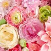 ヒメ日記 2025/07/15 13:59 投稿 菊池 恵 30代40代50代と遊ぶなら博多人妻専科24時