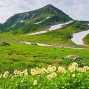 ヒメ日記 2025/07/28 06:41 投稿 菊池 恵 30代40代50代と遊ぶなら博多人妻専科24時