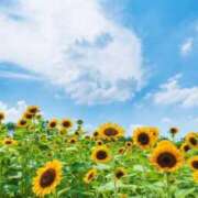 ヒメ日記 2025/08/01 06:41 投稿 菊池 恵 30代40代50代と遊ぶなら博多人妻専科24時