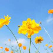 ヒメ日記 2025/08/01 08:30 投稿 菊池 恵 30代40代50代と遊ぶなら博多人妻専科24時