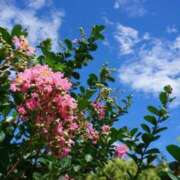 ヒメ日記 2025/08/04 09:46 投稿 菊池 恵 30代40代50代と遊ぶなら博多人妻専科24時