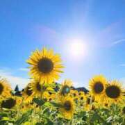 ヒメ日記 2025/08/06 11:52 投稿 菊池 恵 30代40代50代と遊ぶなら博多人妻専科24時