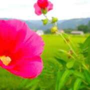 ヒメ日記 2025/08/07 12:08 投稿 菊池 恵 30代40代50代と遊ぶなら博多人妻専科24時