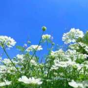 ヒメ日記 2025/08/21 12:02 投稿 菊池 恵 30代40代50代と遊ぶなら博多人妻専科24時