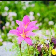 ヒメ日記 2025/09/12 10:13 投稿 菊池 恵 30代40代50代と遊ぶなら博多人妻専科24時