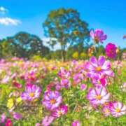 ヒメ日記 2025/10/01 23:49 投稿 菊池 恵 30代40代50代と遊ぶなら博多人妻専科24時