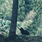 ヒメ日記 2025/10/06 07:23 投稿 菊池 恵 30代40代50代と遊ぶなら博多人妻専科24時