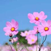 ヒメ日記 2025/10/08 09:18 投稿 菊池 恵 30代40代50代と遊ぶなら博多人妻専科24時