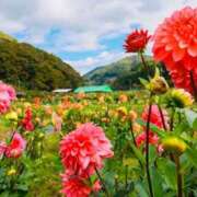 ヒメ日記 2025/10/09 09:02 投稿 菊池 恵 30代40代50代と遊ぶなら博多人妻専科24時