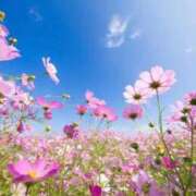 ヒメ日記 2025/10/10 09:15 投稿 菊池 恵 30代40代50代と遊ぶなら博多人妻専科24時