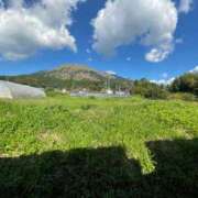 ヒメ日記 2025/10/20 08:16 投稿 菊池 恵 30代40代50代と遊ぶなら博多人妻専科24時