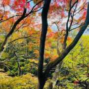 ヒメ日記 2025/10/20 11:46 投稿 菊池 恵 30代40代50代と遊ぶなら博多人妻専科24時