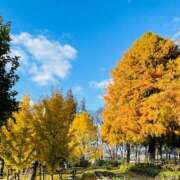 ヒメ日記 2025/10/22 10:09 投稿 菊池 恵 30代40代50代と遊ぶなら博多人妻専科24時