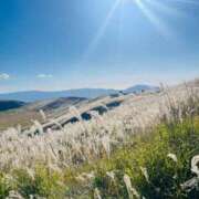 ヒメ日記 2025/10/30 06:52 投稿 菊池 恵 30代40代50代と遊ぶなら博多人妻専科24時