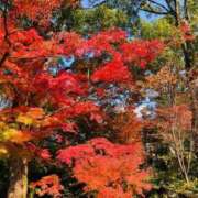 ヒメ日記 2025/11/05 08:18 投稿 菊池 恵 30代40代50代と遊ぶなら博多人妻専科24時