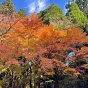 ヒメ日記 2025/11/17 07:19 投稿 菊池 恵 30代40代50代と遊ぶなら博多人妻専科24時