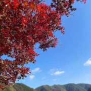 ヒメ日記 2025/11/18 11:45 投稿 菊池 恵 30代40代50代と遊ぶなら博多人妻専科24時