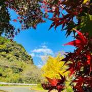 ヒメ日記 2025/11/25 10:13 投稿 菊池 恵 30代40代50代と遊ぶなら博多人妻専科24時