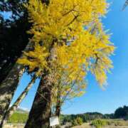 ヒメ日記 2025/11/29 19:50 投稿 菊池 恵 30代40代50代と遊ぶなら博多人妻専科24時