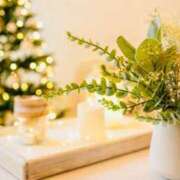 ヒメ日記 2025/12/11 06:51 投稿 菊池 恵 30代40代50代と遊ぶなら博多人妻専科24時