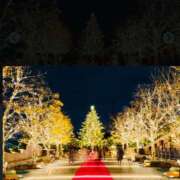 ヒメ日記 2025/12/12 08:21 投稿 菊池 恵 30代40代50代と遊ぶなら博多人妻専科24時