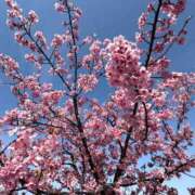 ヒメ日記 2026/03/03 07:19 投稿 菊池 恵 30代40代50代と遊ぶなら博多人妻専科24時