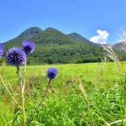 ヒメ日記 2026/03/04 11:56 投稿 菊池 恵 30代40代50代と遊ぶなら博多人妻専科24時