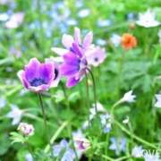 ヒメ日記 2026/03/06 08:08 投稿 菊池 恵 30代40代50代と遊ぶなら博多人妻専科24時