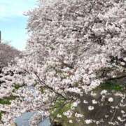 菊池 恵 こんばんは^ ^ 30代40代50代と遊ぶなら博多人妻専科24時